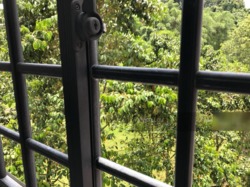 Blk 542 Bukit Batok Street 52 (Bukit Batok), HDB Executive #181065052